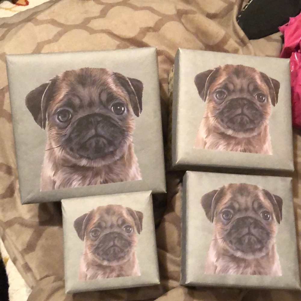 Assorted sizes of pug nesting boxes